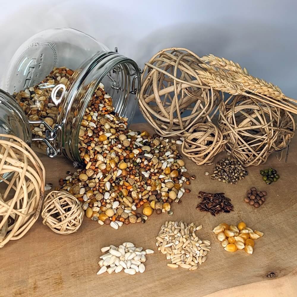 Rassetaubenfutter Ralf Schmid mit Perlmais