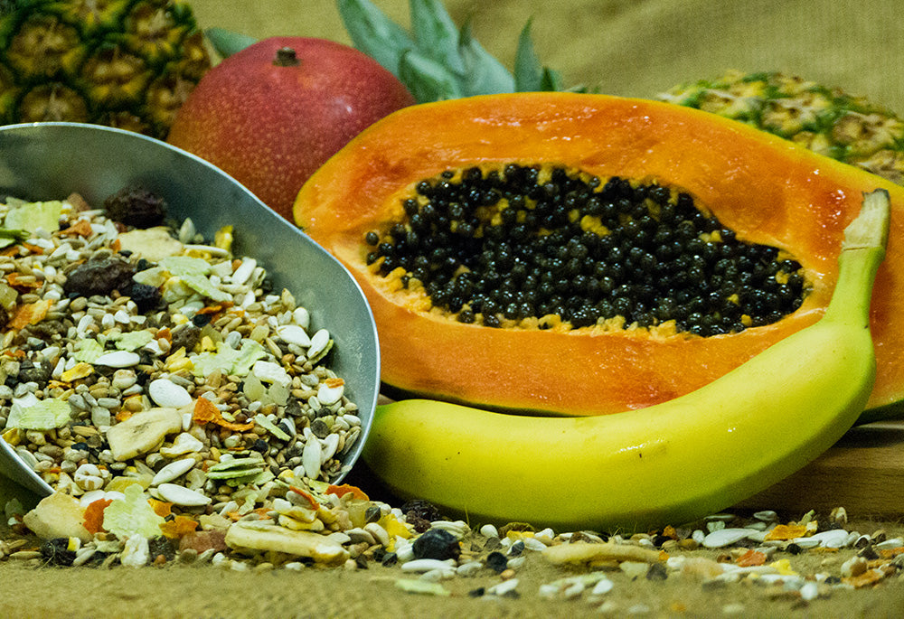 Witte Molen Ara Futter (Promo)