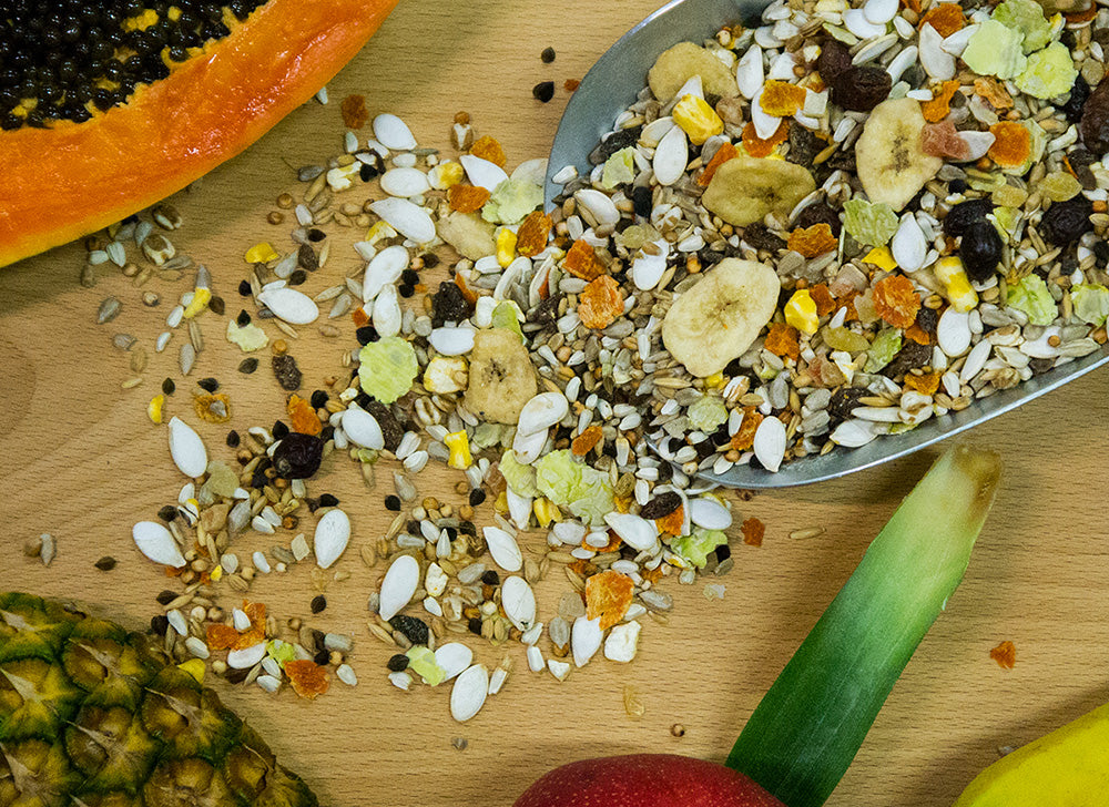 Witte Molen Ara Futter (Draufsicht)