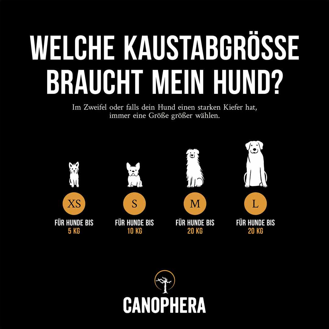 Kaffeeholz für Hunde als Kauholz