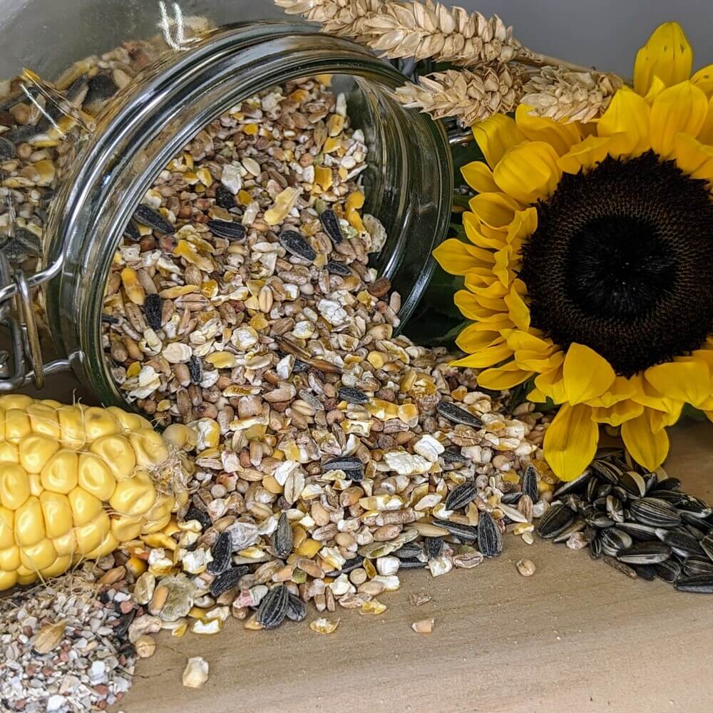 Hühnerfutter ohne Gentechnik mit Erbsen