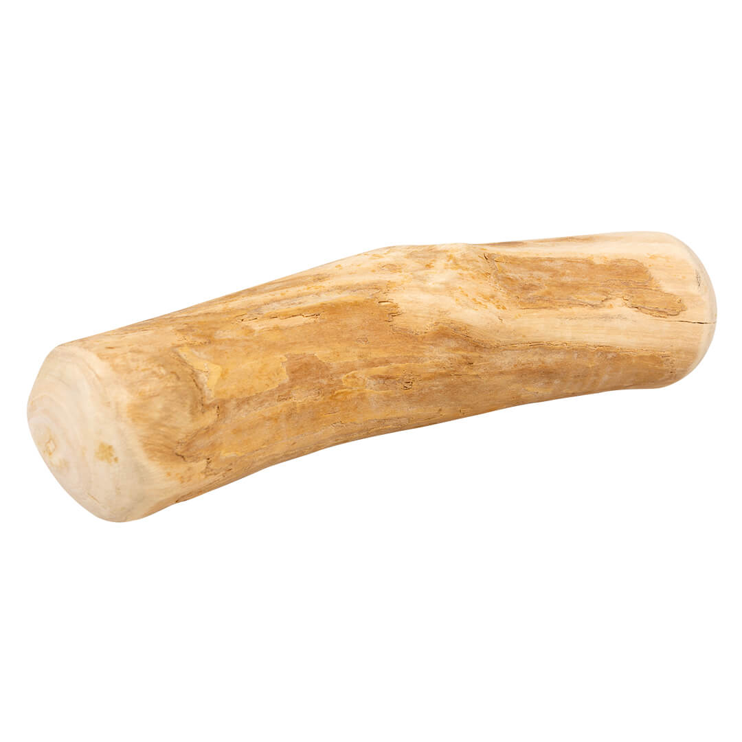 Kaffeeholz für Hunde als Kauholz