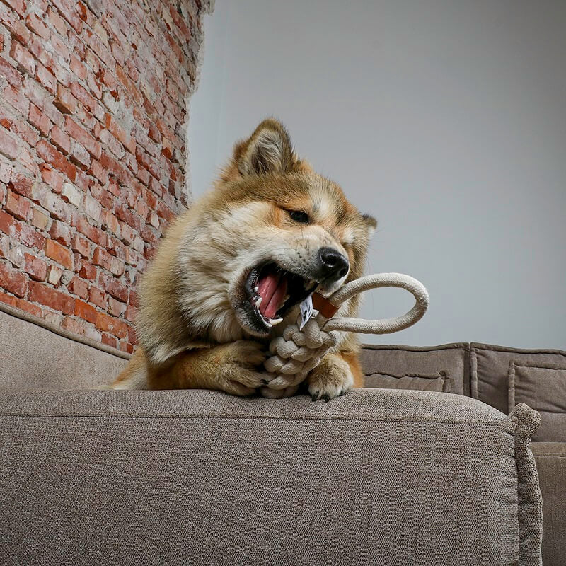 Kauspielzeug Kurt für Hunde