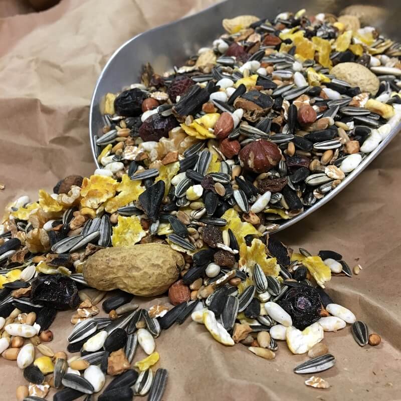 Premium Futter für Streifen- und Eichhörnchen