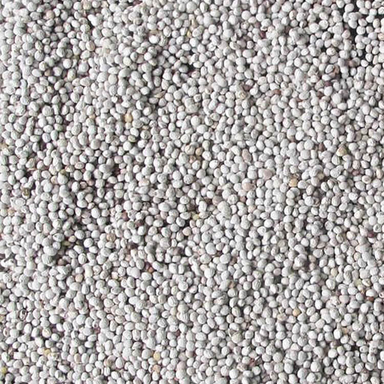 weiße Perillasamen Shisosamen