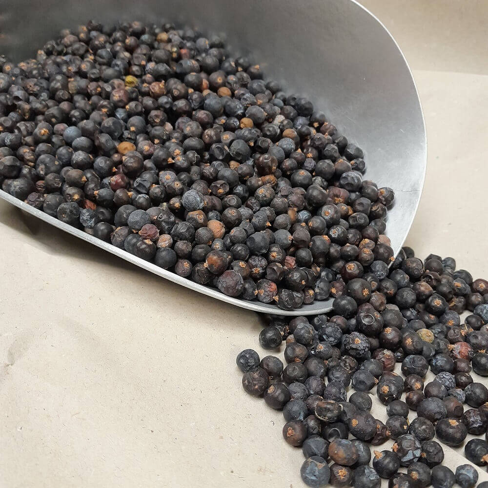 Getrocknete Wacholderbeeren für Vögel