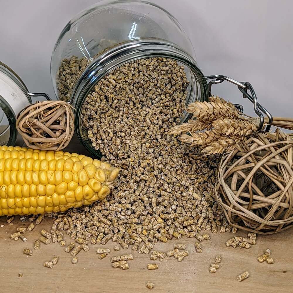 Geflügel Mast Korn GVO-frei