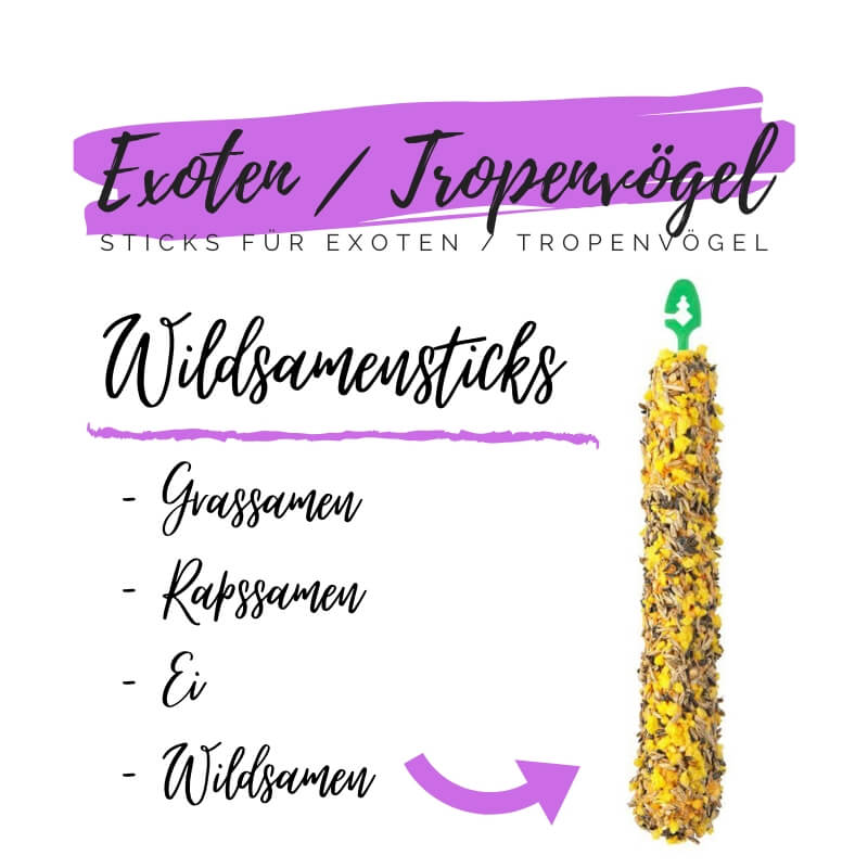 Sticks für Exoten Tropenvögel mit Wildsamen