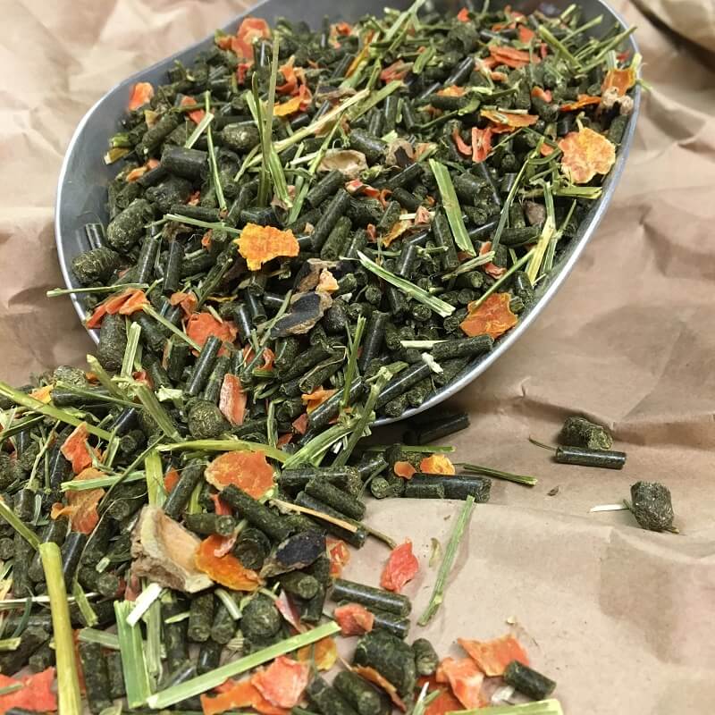 Expert Kaninchen Sensitive