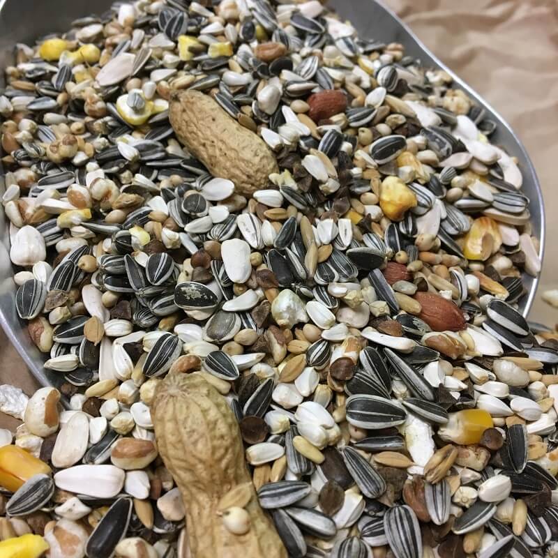 Witte Molen Papageienfutter N Expert