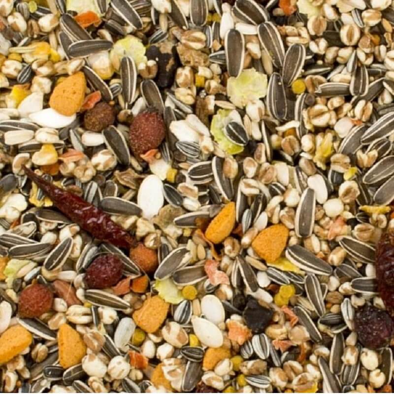 Expert Papageienfutter Grob