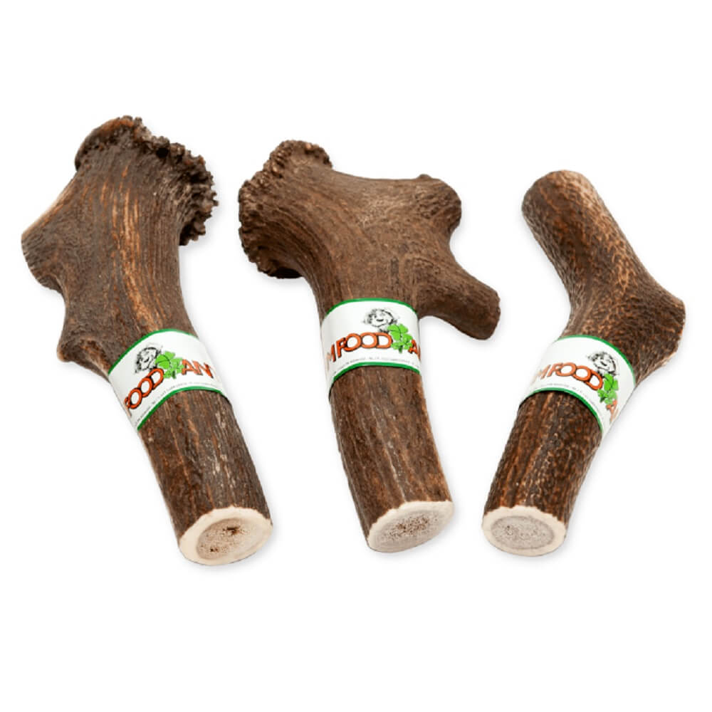 Hirschgeweih für Hunde zum kauen