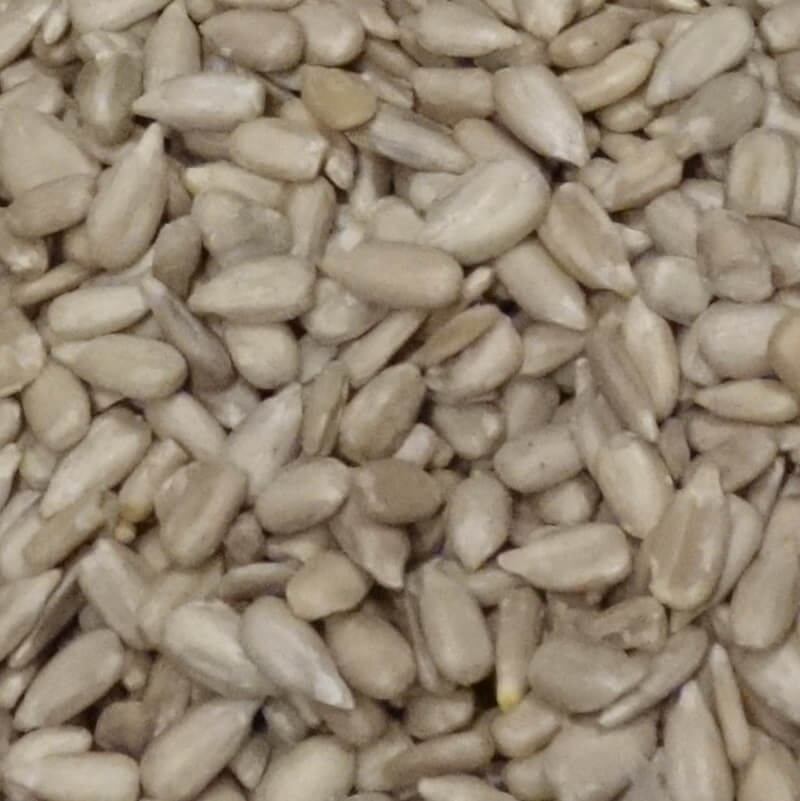 Sonnenblumenkerne geschält