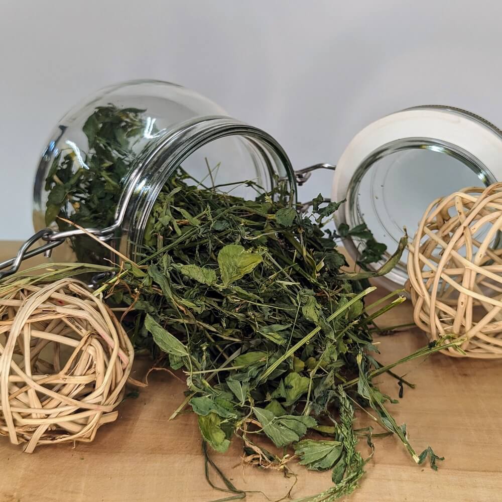 Luzernekraut - getrocknete Luzerne