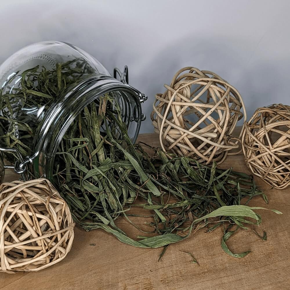 Grüner Hafer - Grünhafer für Tiere