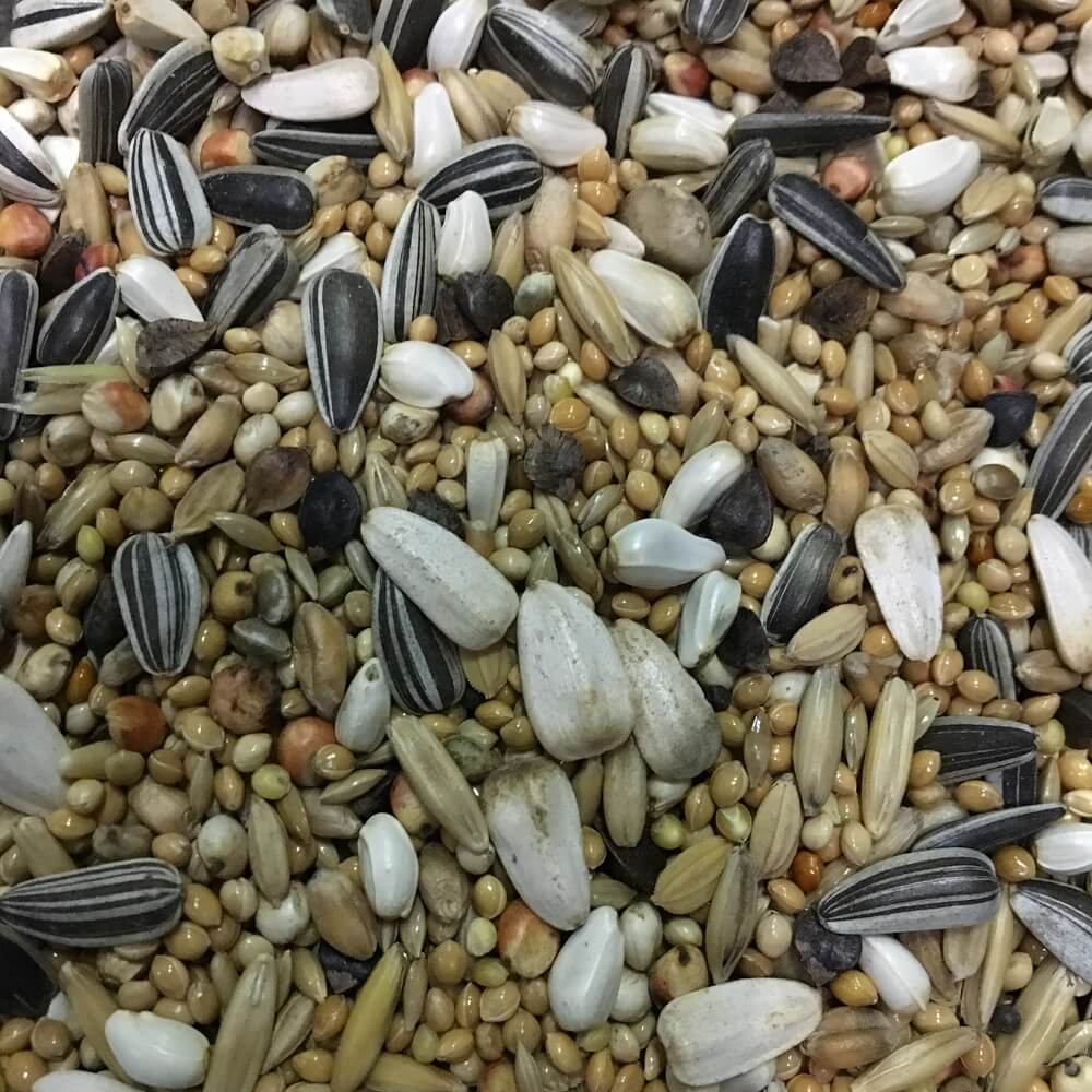 Basismischung für Ziegensittiche