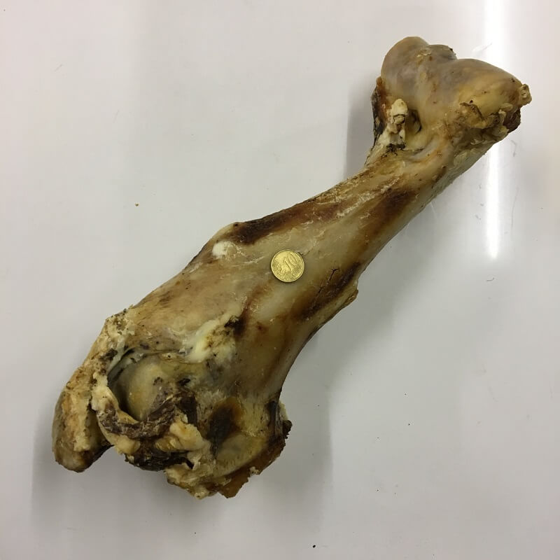 Jumbo Knochen vom Rind
