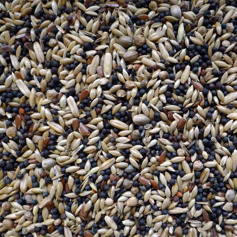 Kanarienvogel Futter Basismischung