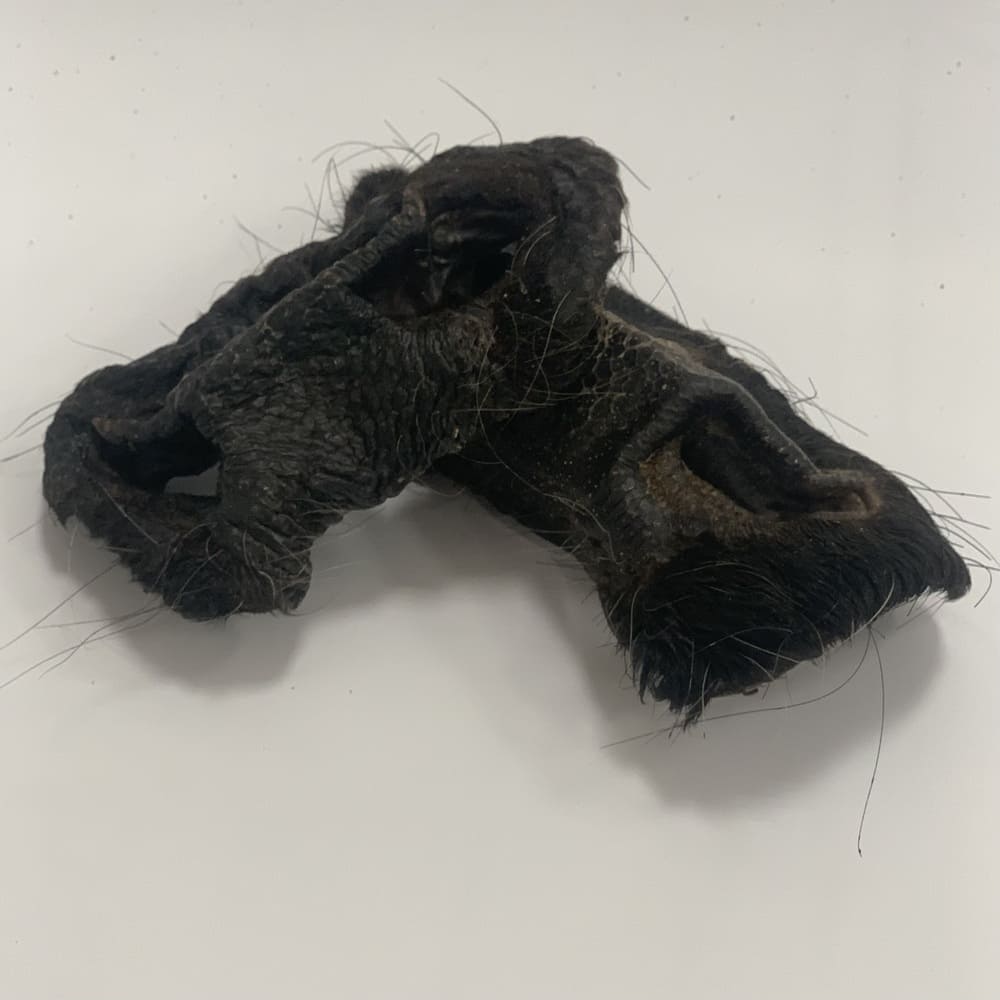 Rindernasen mit Fellansatz