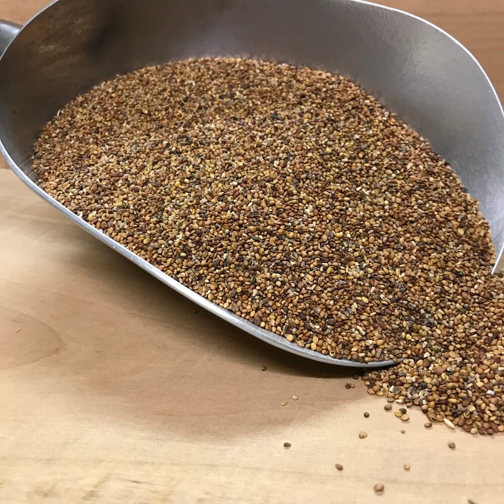 Kleesamen für Tiere