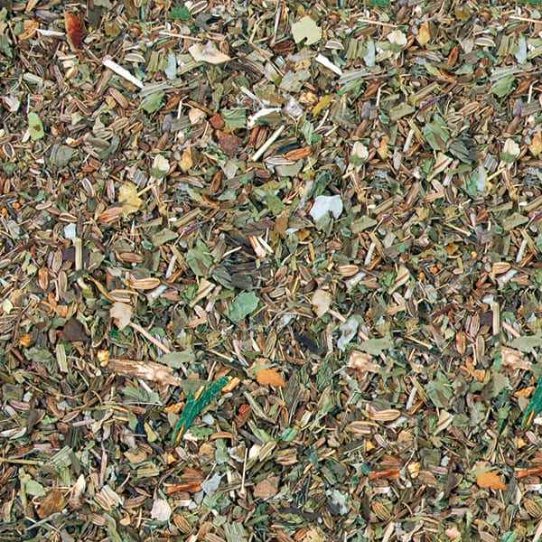 Nösenberger Kräuter Kur Nr 1 - Atemwege