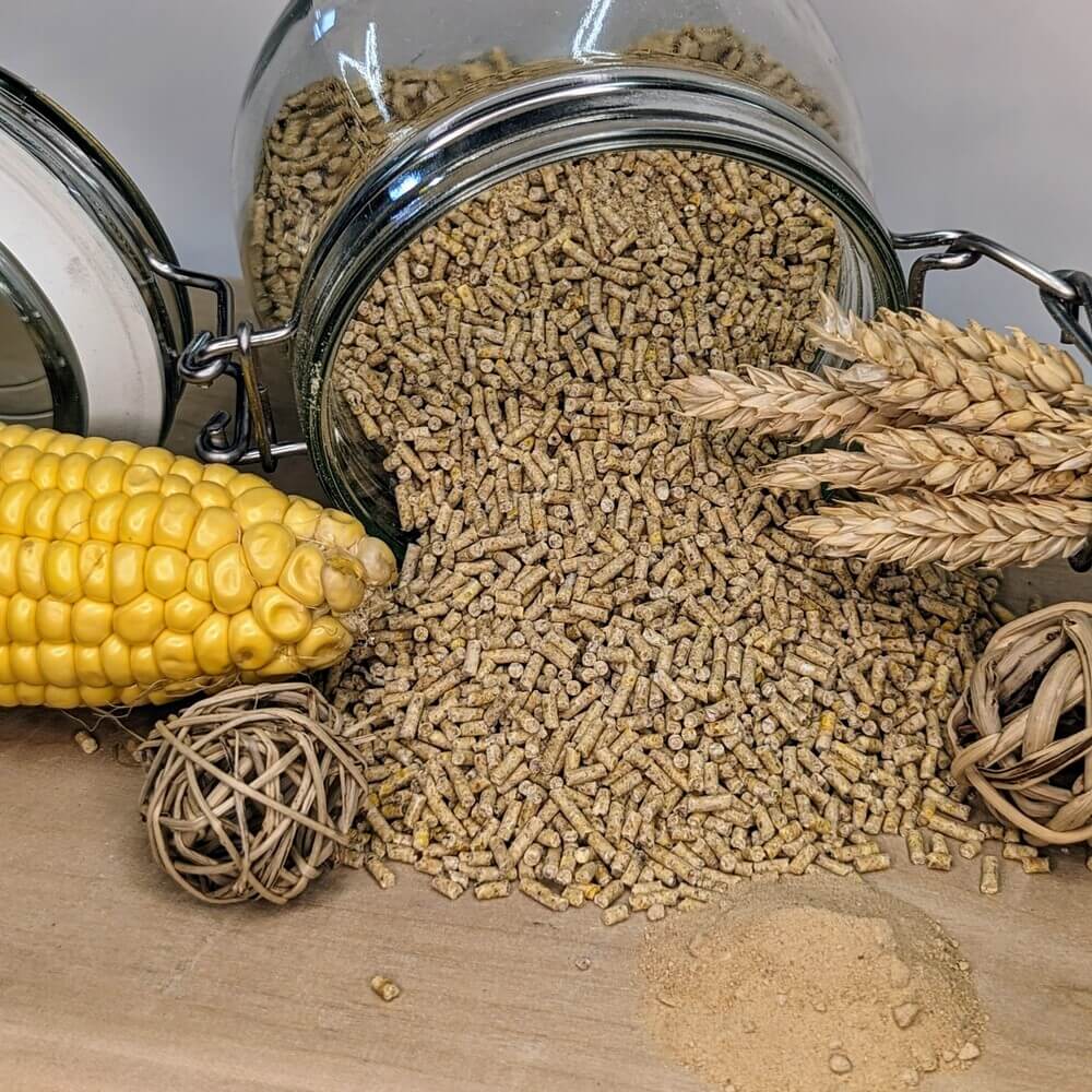 Kükenkorn oder Kükenaufzuchtfutter