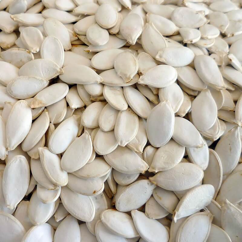 Kürbiskerne in Schale roh und unbehandelt