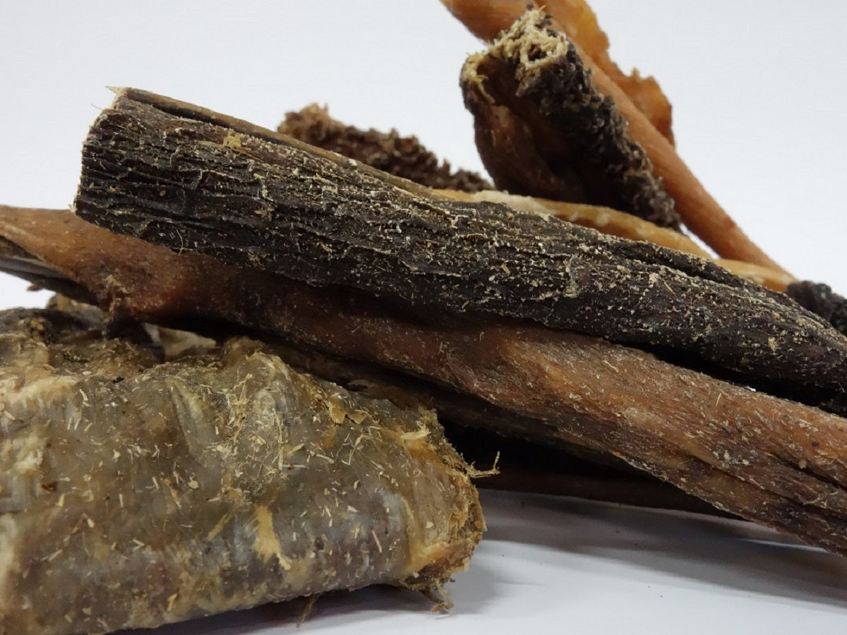 Lammpansen für Hunde