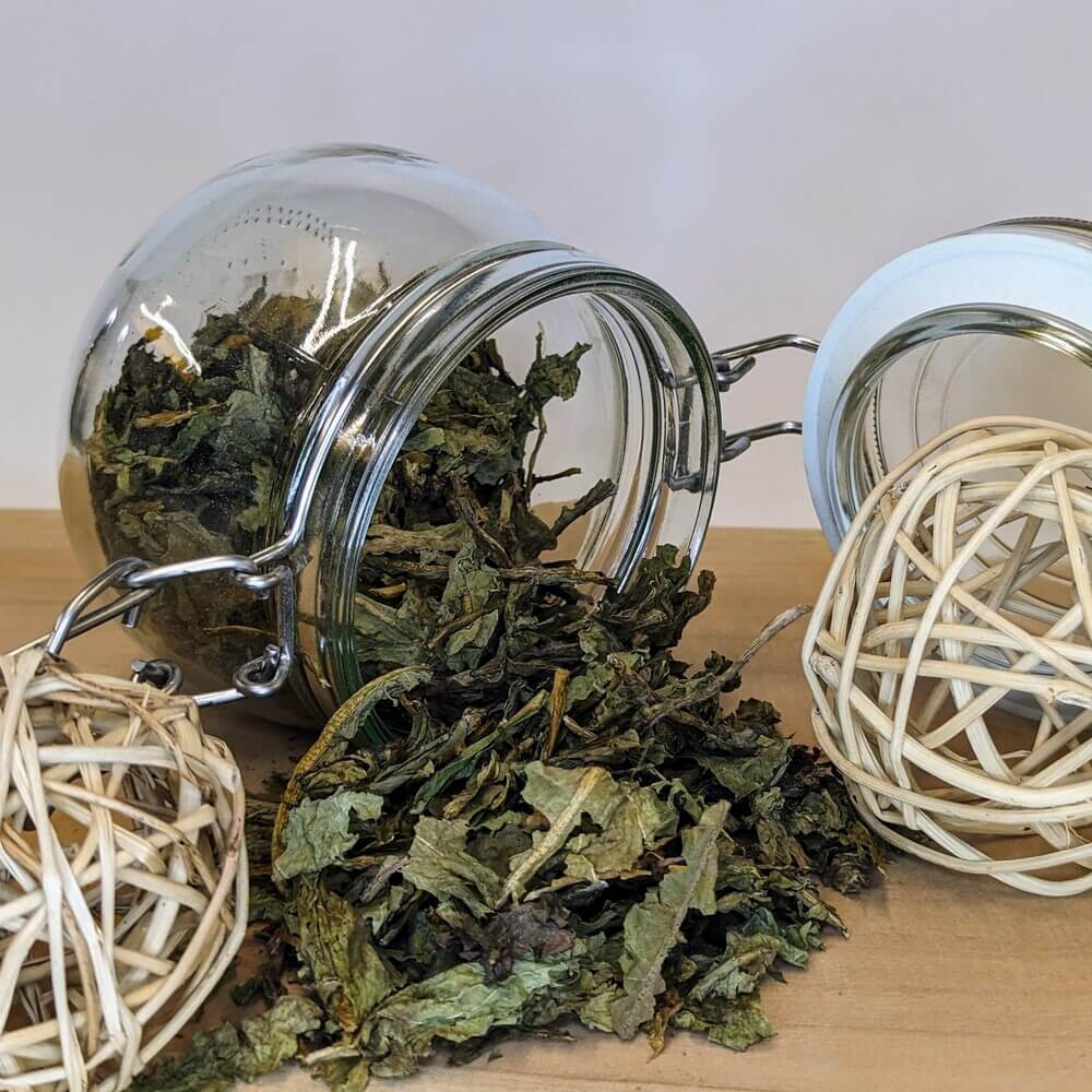 getrockneter Löwenzahn vom Stegerhof