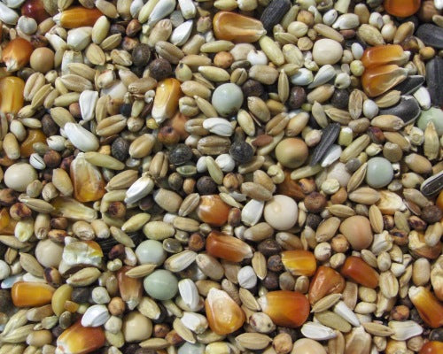 Matador Premium Reisefutter für Jungtauben