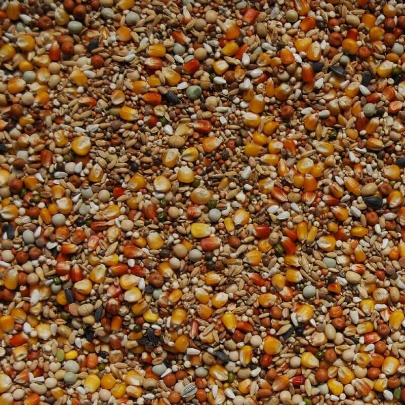 Matador Taubenfutter Premium Athletic