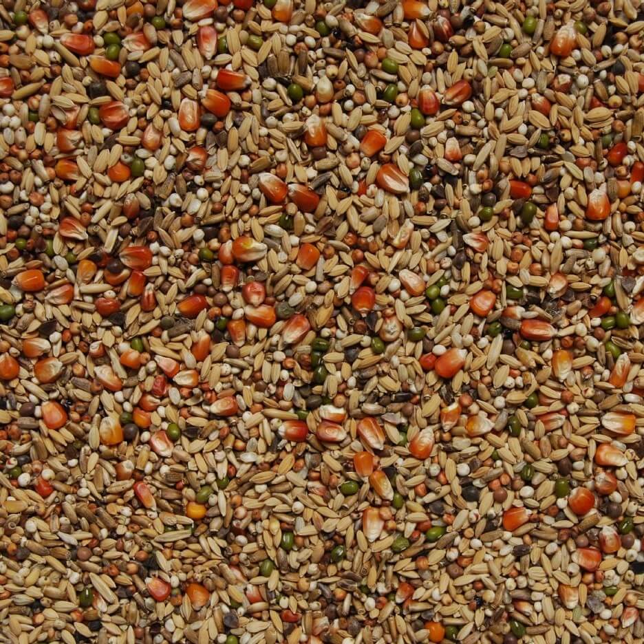 Matador Premium Detox Taubenfutter zur Entgiftung