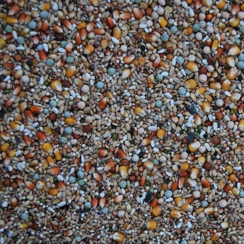 Taubenfutter Matador Premium Komplett Plus