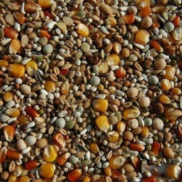 Matador Taubenfutter Premium Reise