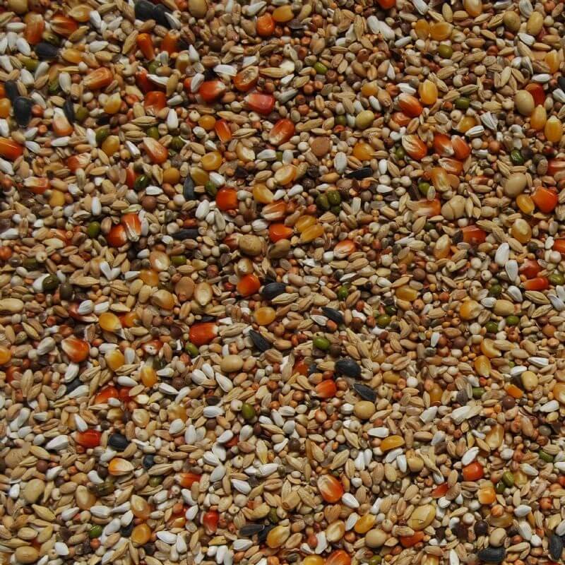 Matador Premium Super Start Taubenfutter