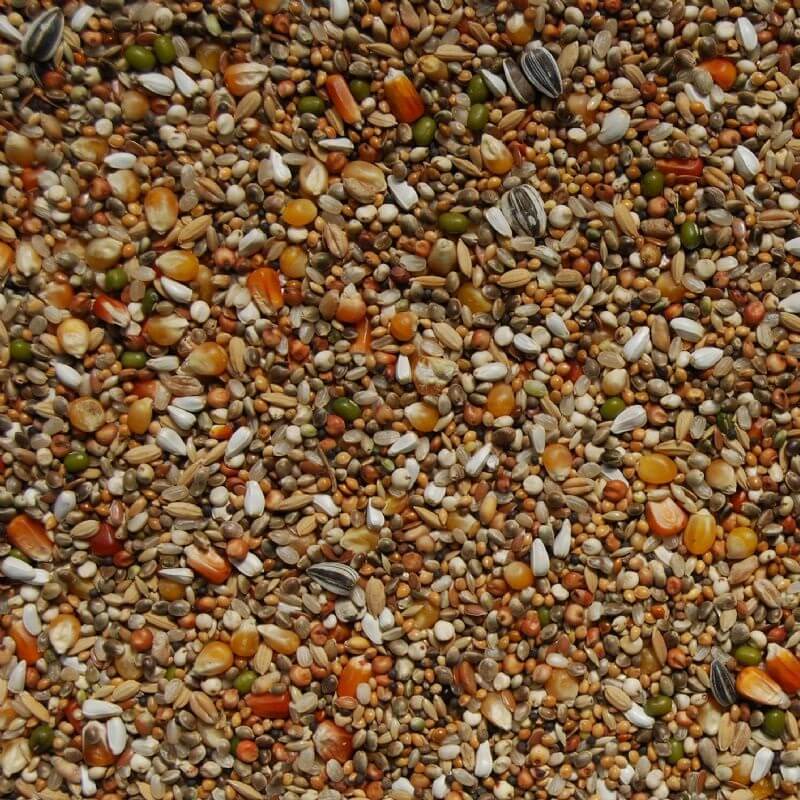 Taubenfutter Turbo Fett Extreme