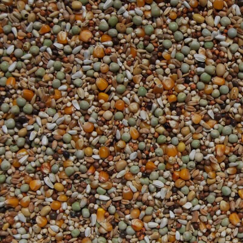 Matador Premium Zucht