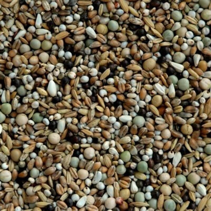 Matador RT/HR Rassetaubenfutter für helle Rassen