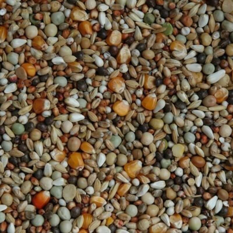 Matador Rassetaubenfutter für leichte Rassen