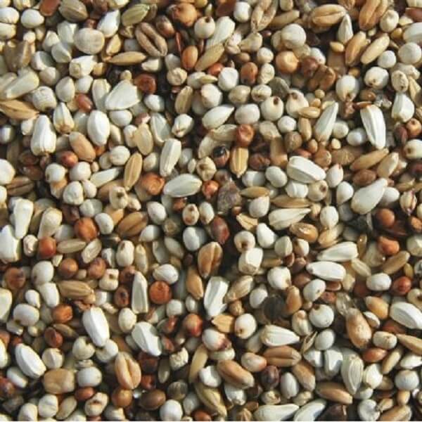 Matador Premium Schonkost Super