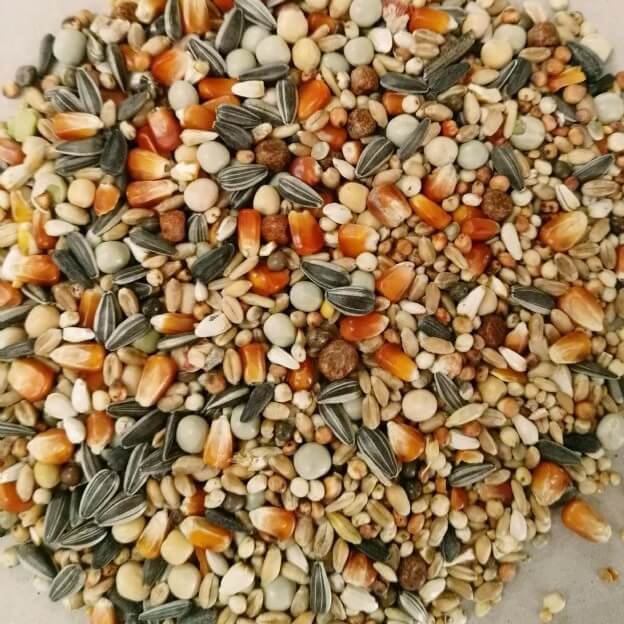 Matador Zucht und Reise Taubenfutter