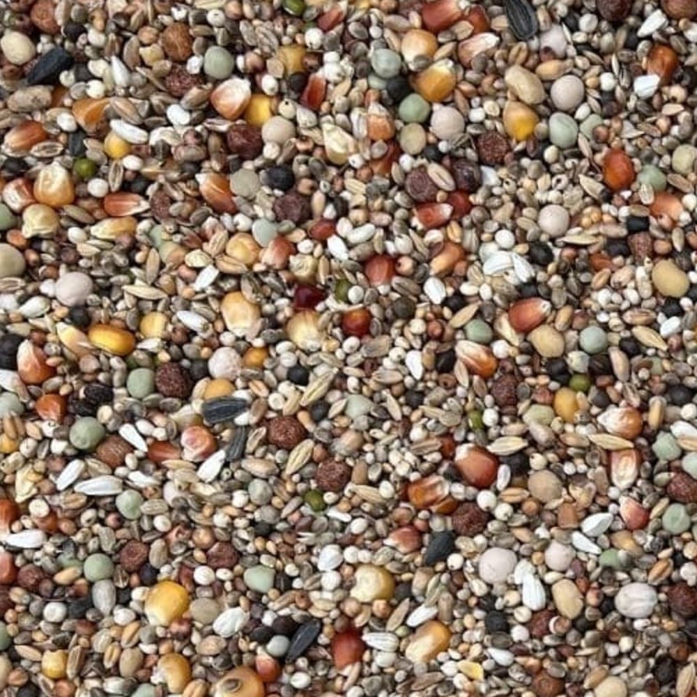 Matador Taubenfutter Premium Barcelona