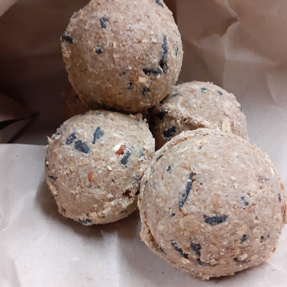 Meisenknödel mit Insekten und Früchten ohne Netz