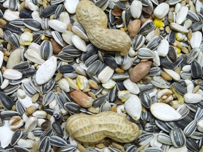 Witte Molen Papageien Futter BM