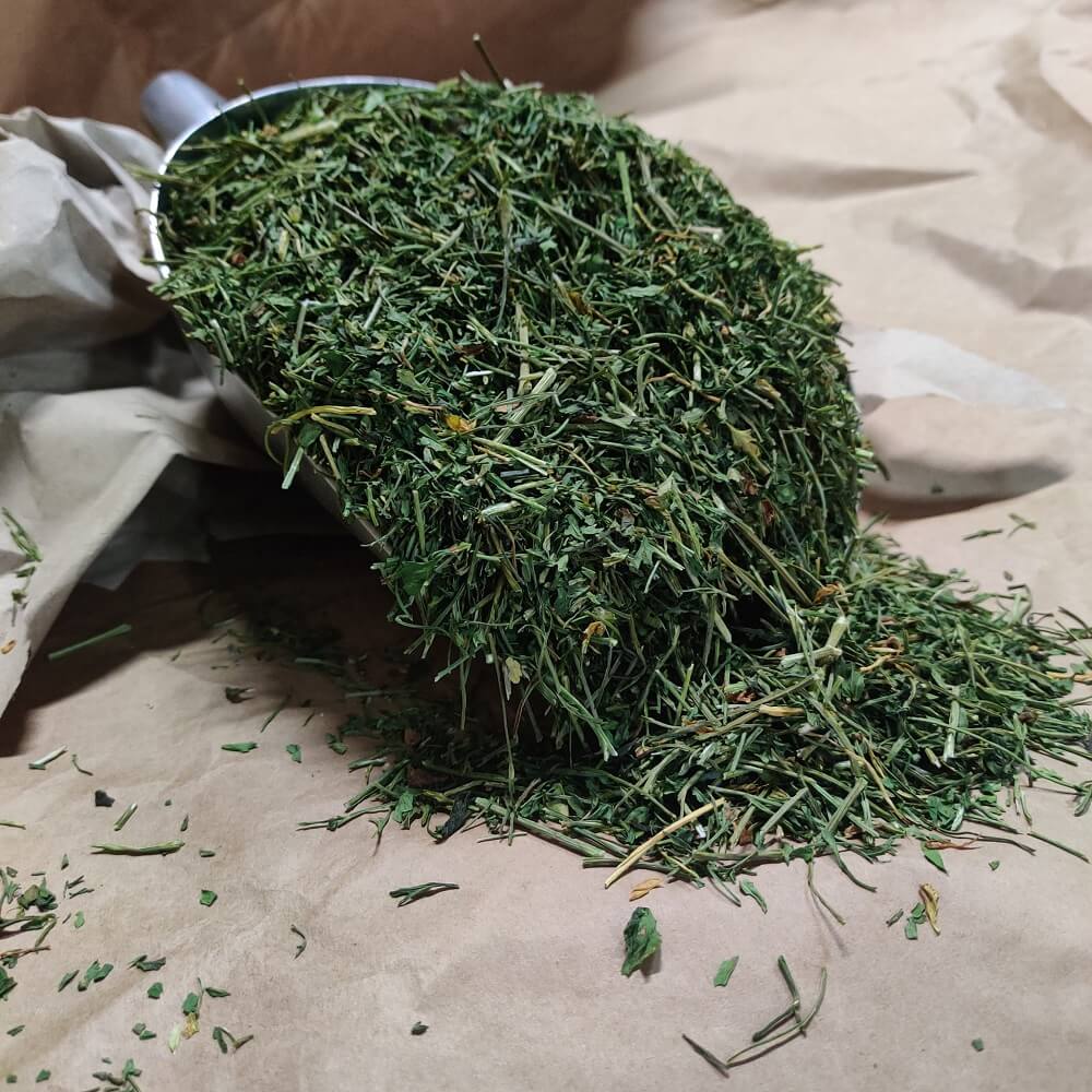 Petersilienstiele für Tiere