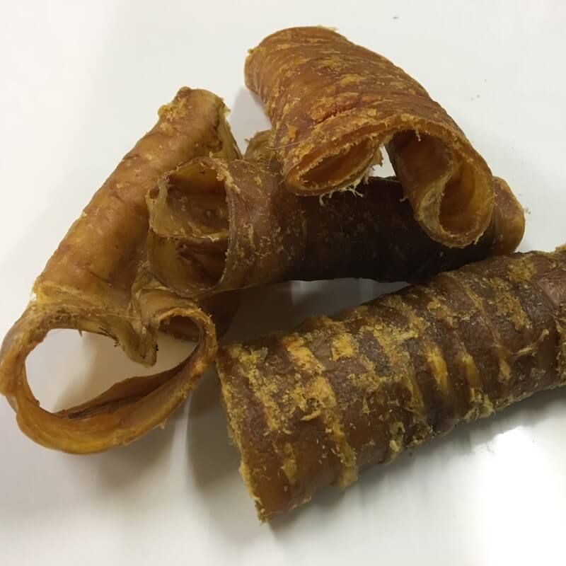 Pferde Luftröhre Strossen