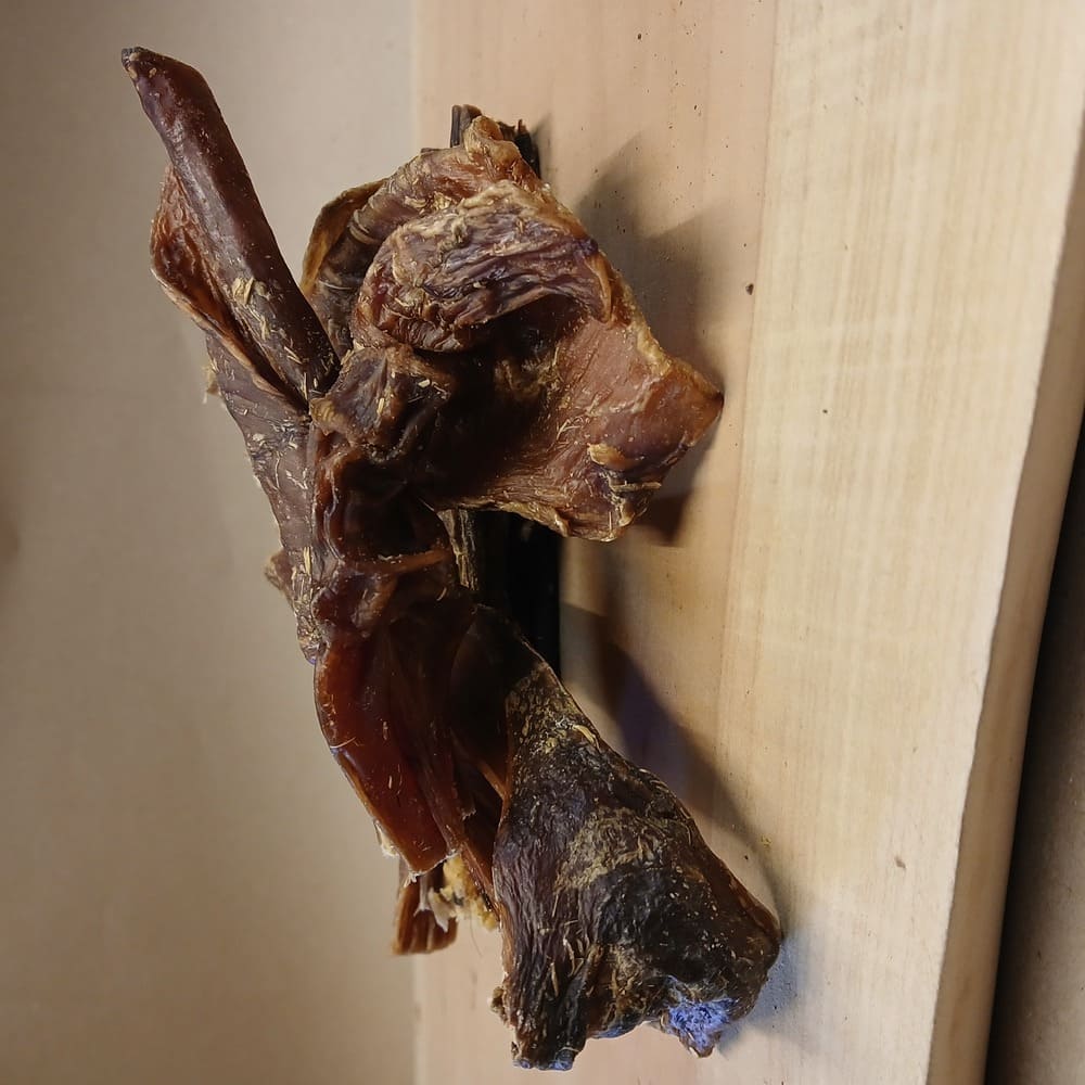 Pferde Mägen - getrochneter Pferdemagen