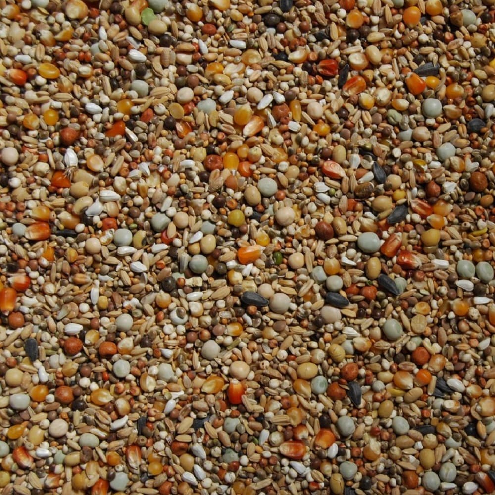 Matador Premium Zucht Extrem Taubenfutter