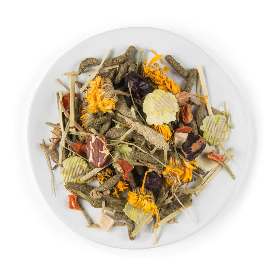 Witte Molen PUUR Futter für Chinchillas Degus