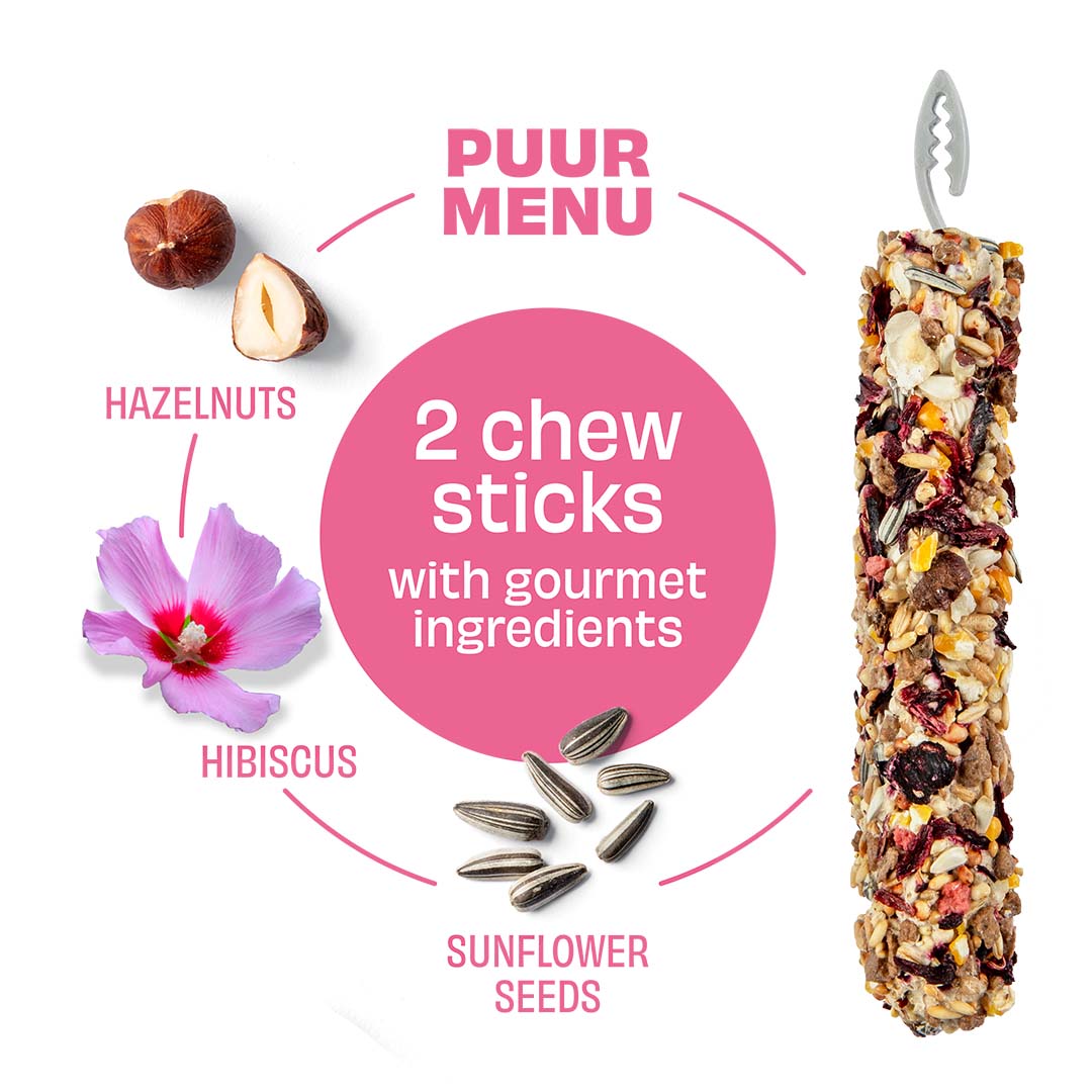 Puur Nagersnack Sticks mit Haselnuss und Hibiskus
